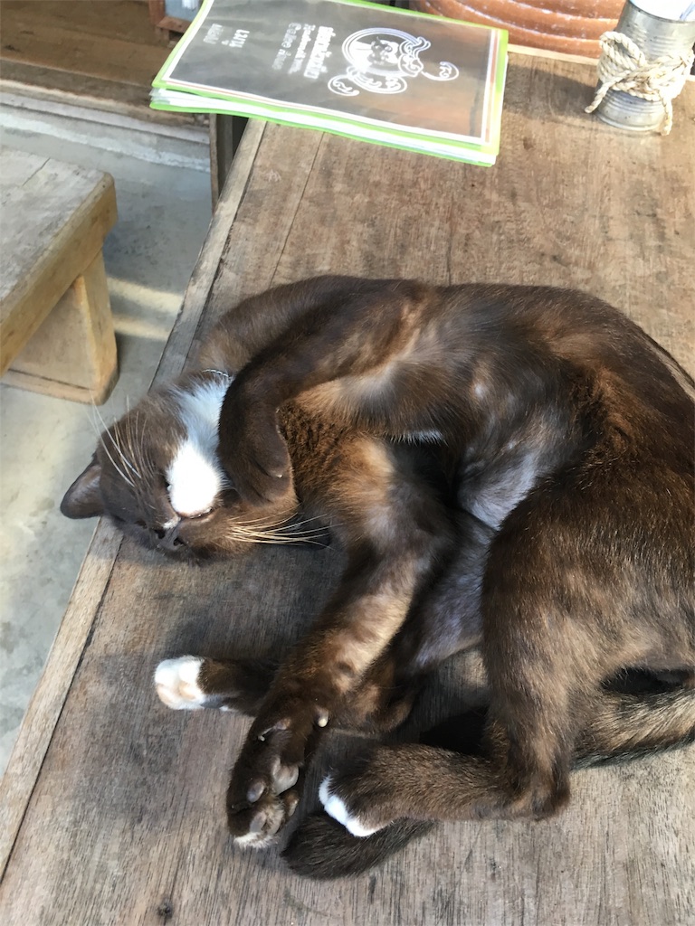 f:id:akoizuminobaka:20171106053330j:image