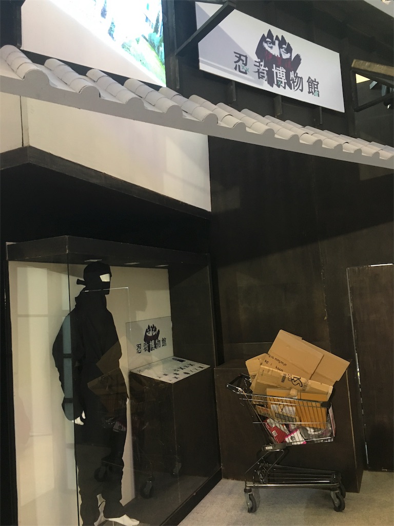 f:id:akoizuminobaka:20171112031011j:image