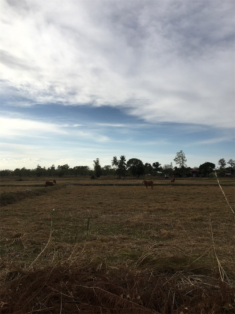 f:id:akoizuminobaka:20180109230929j:image