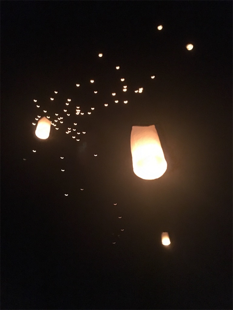 f:id:akoizuminobaka:20180507200127j:image