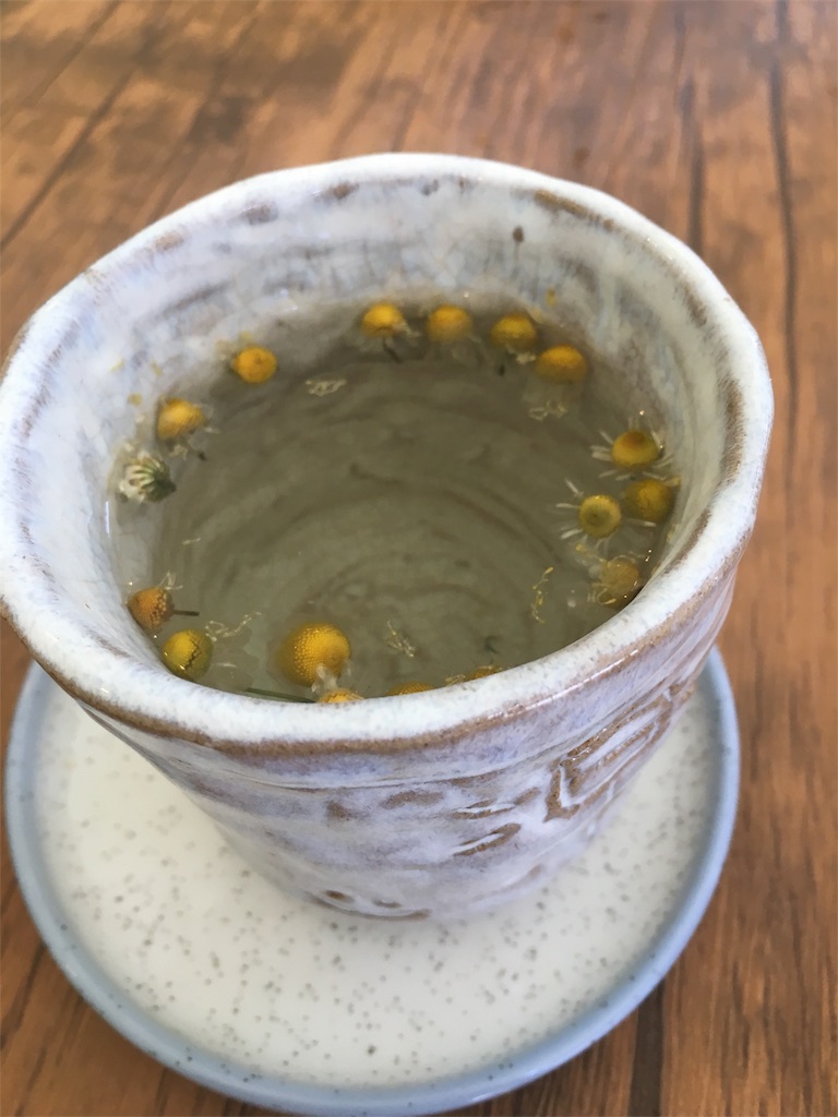 f:id:akoizuminobaka:20180507201611j:image