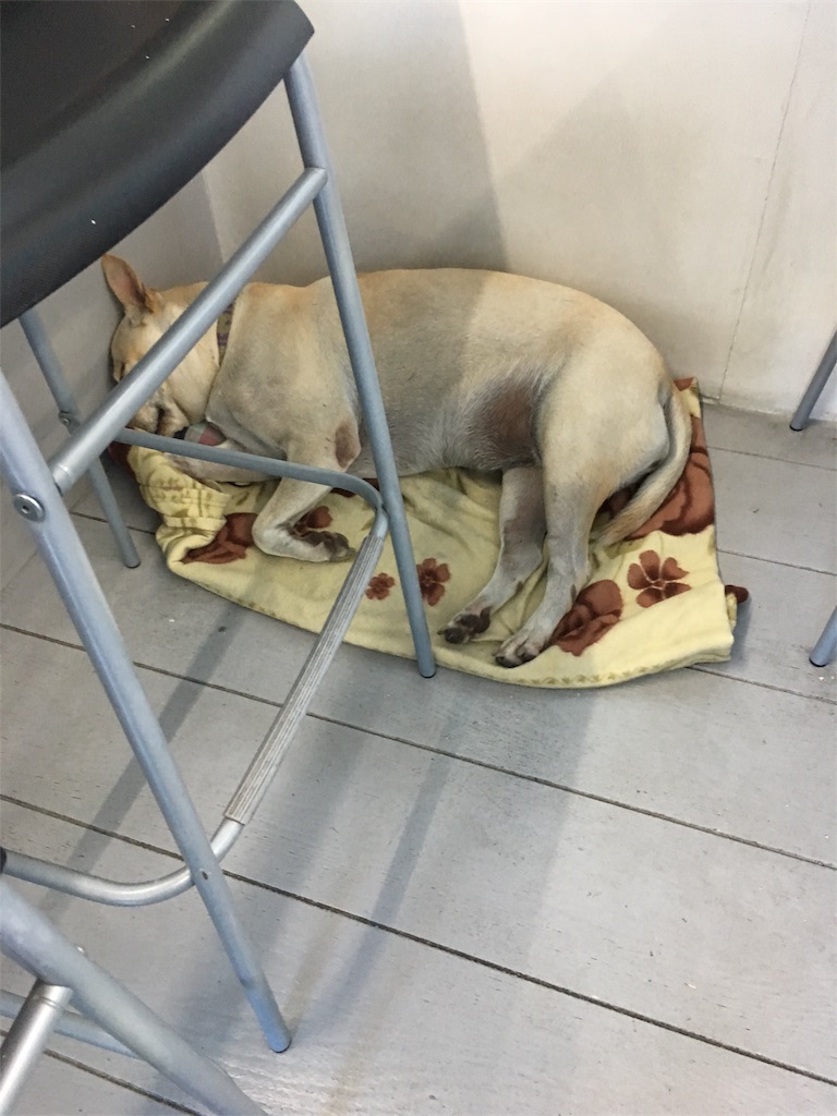 f:id:akoizuminobaka:20180926114423j:image