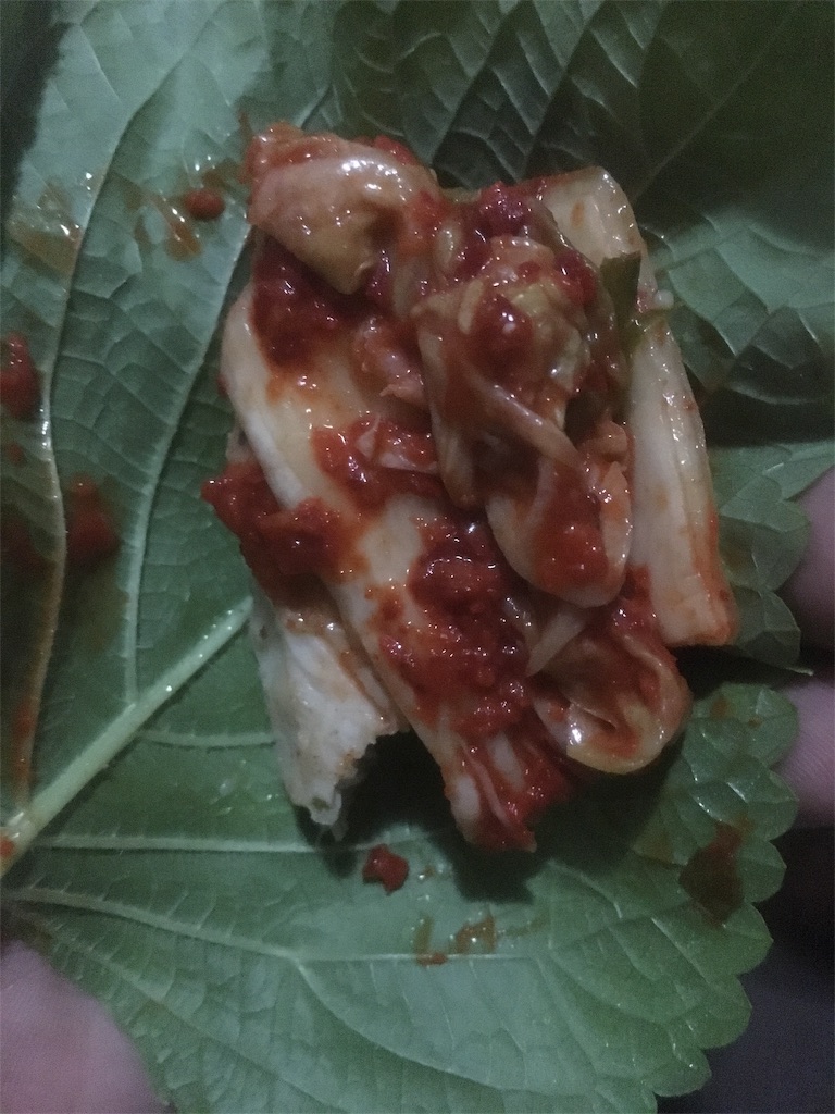 f:id:akoizuminobaka:20190314041744j:image f:id:akoizuminobaka:20190314041744j:image