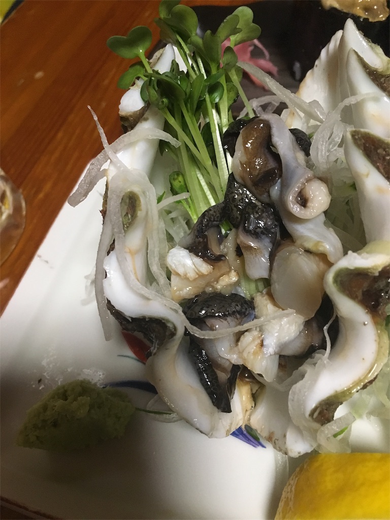 f:id:akoizuminobaka:20190420124415j:image