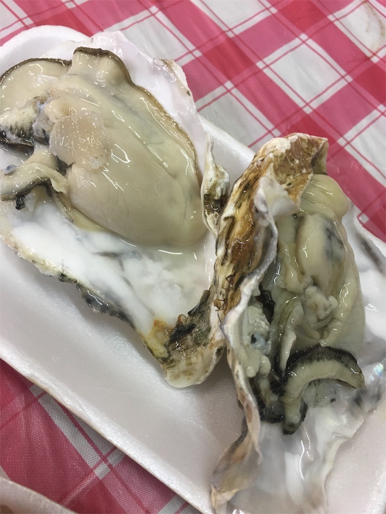 f:id:akoizuminobaka:20190420124747j:image