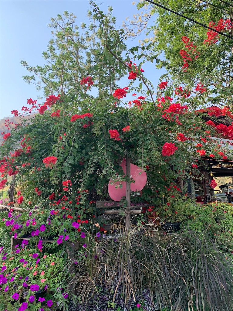 f:id:akoizuminobaka:20200222012141j:image f:id:akoizuminobaka:20200222012141j:image