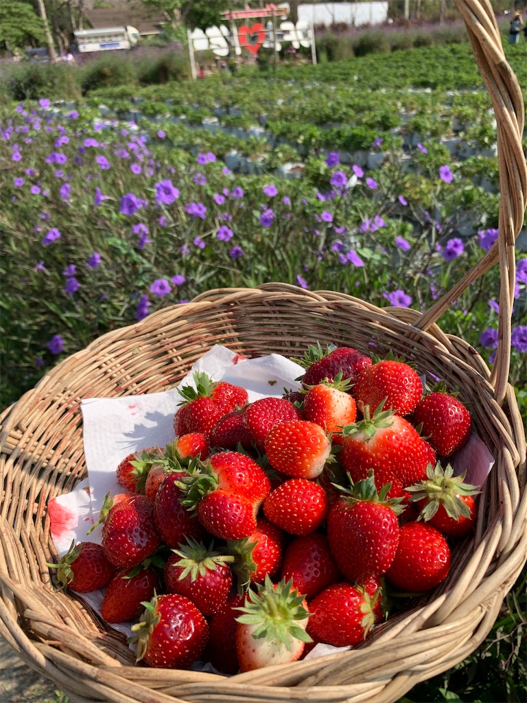 f:id:akoizuminobaka:20200222012335j:image f:id:akoizuminobaka:20200222012335j:image