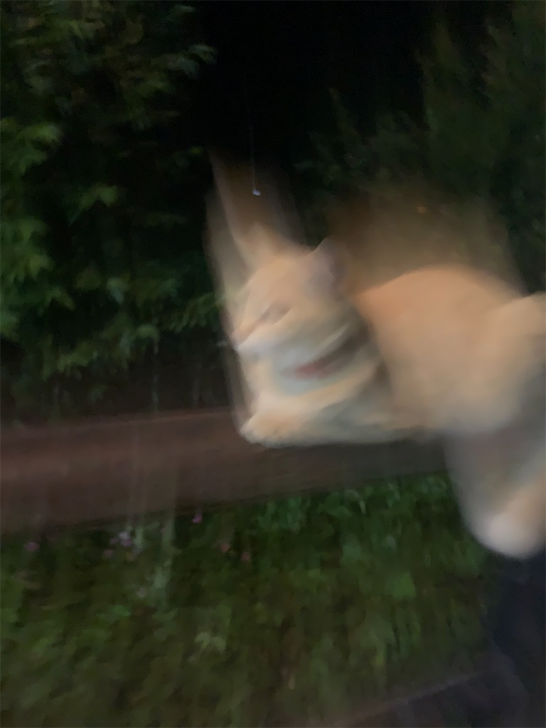 f:id:akoizuminobaka:20201006011422j:image