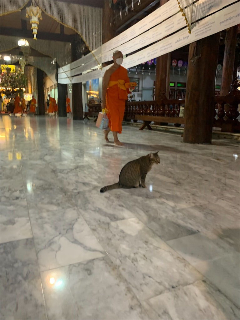 f:id:akoizuminobaka:20220212103223j:image