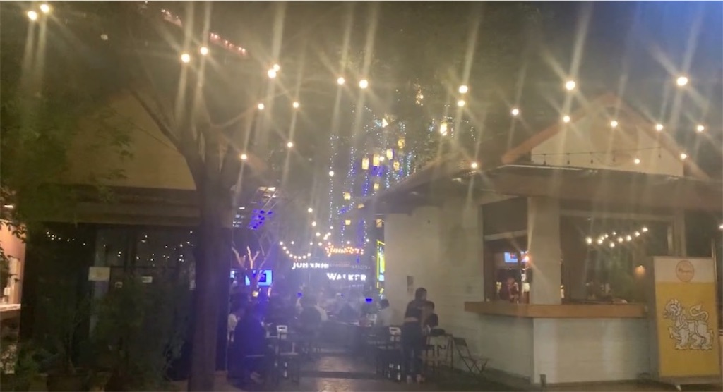 f:id:akoizuminobaka:20220501213711j:image