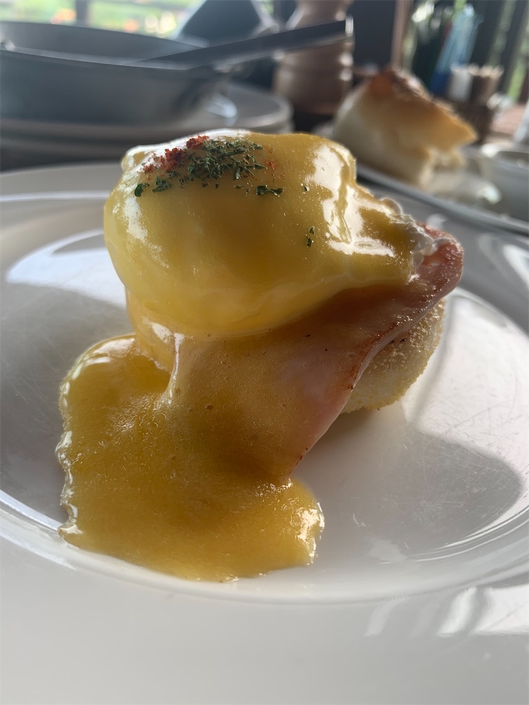 f:id:akoizuminobaka:20220601023252j:image