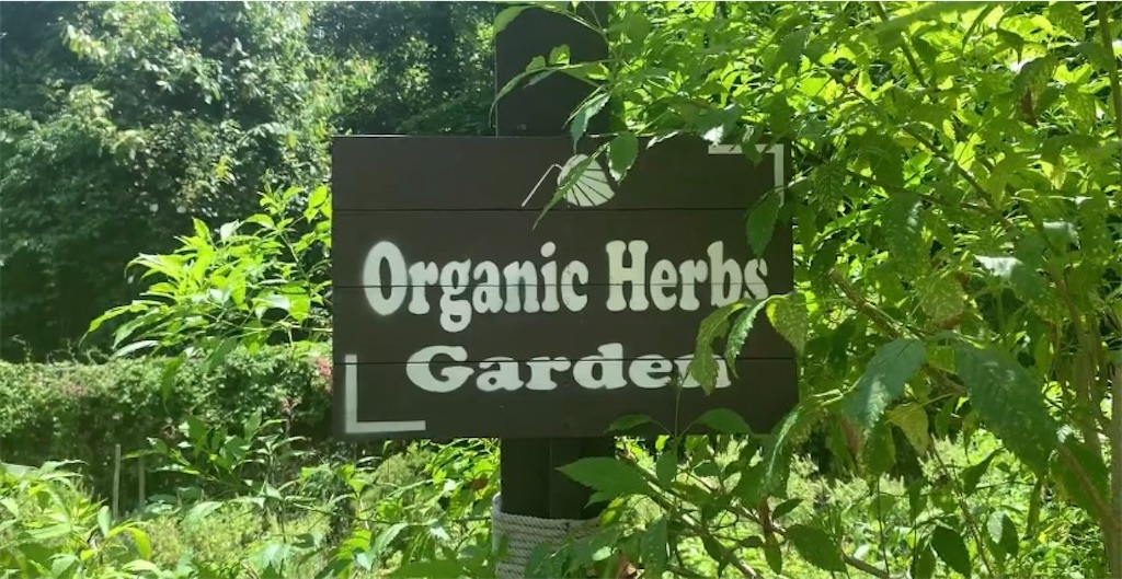 f:id:akoizuminobaka:20220601024305j:image