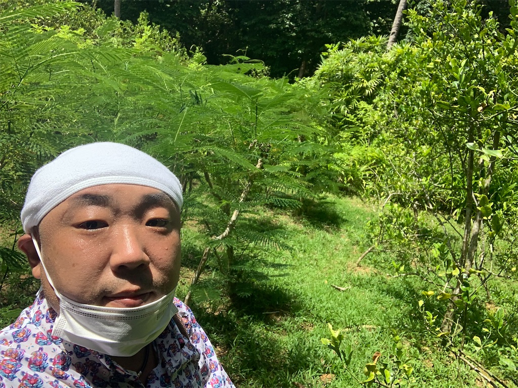 f:id:akoizuminobaka:20220601024430j:image