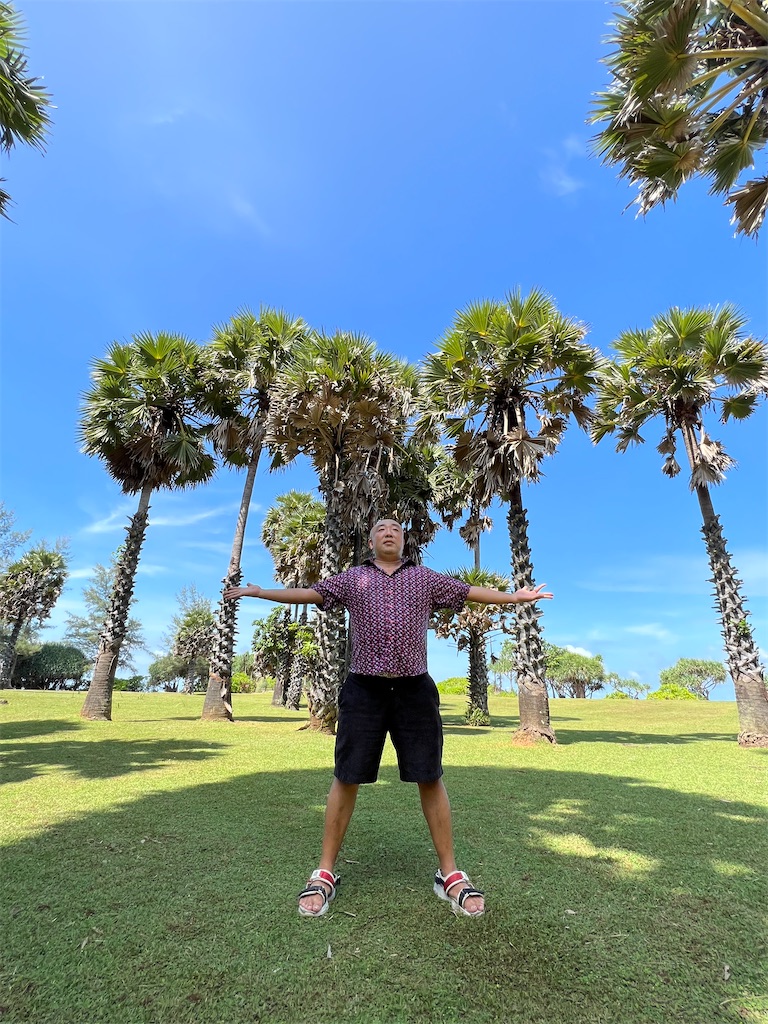 f:id:akoizuminobaka:20220601030624j:image