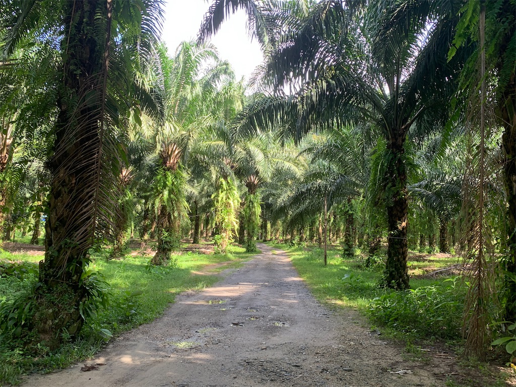 f:id:akoizuminobaka:20220628191408j:image