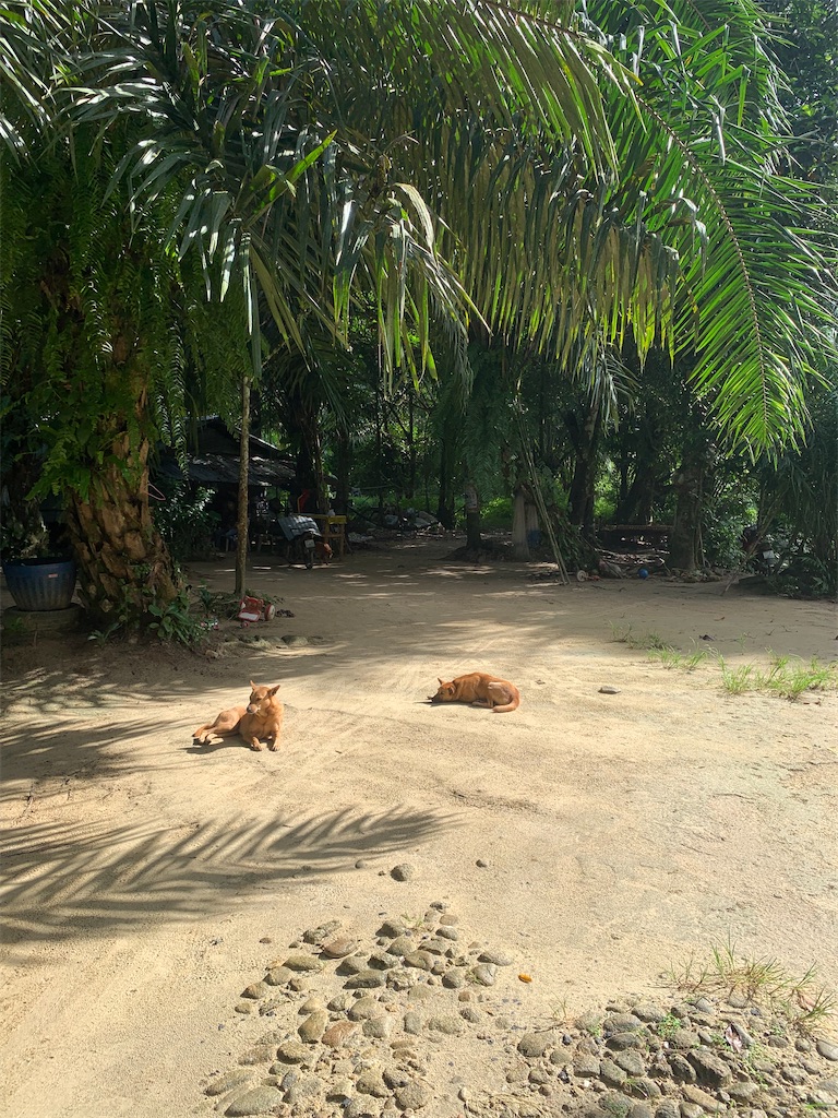 f:id:akoizuminobaka:20220628191413j:image