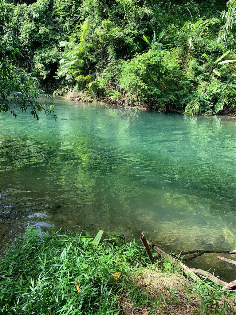 f:id:akoizuminobaka:20220628191505j:image