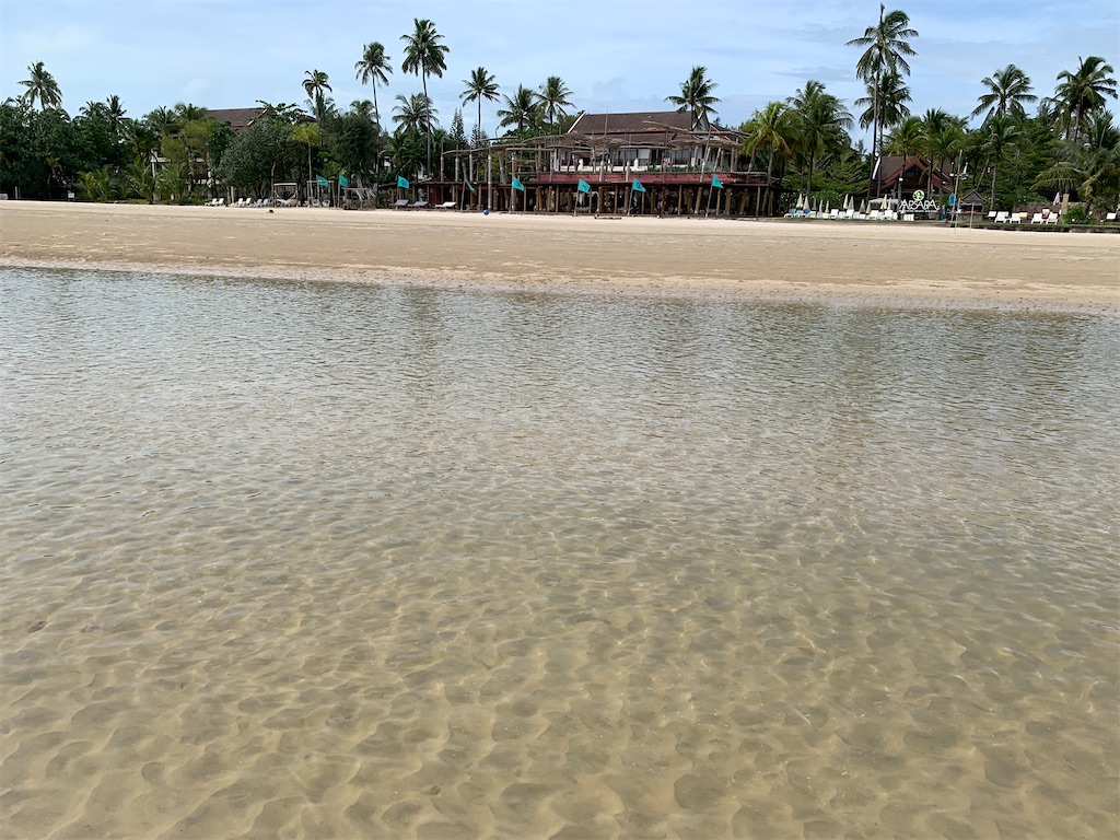 f:id:akoizuminobaka:20220628192124j:image