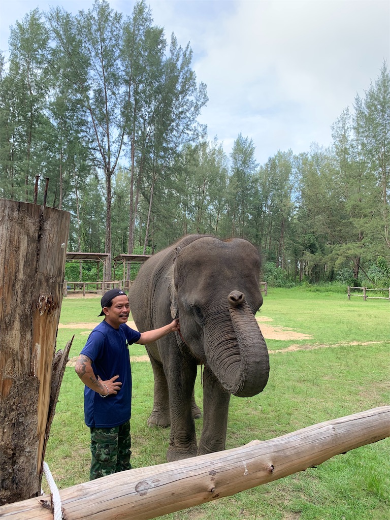 f:id:akoizuminobaka:20220628192224j:image