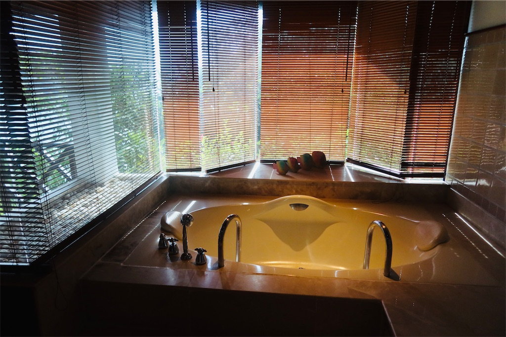 f:id:akoizuminobaka:20221220194106j:image