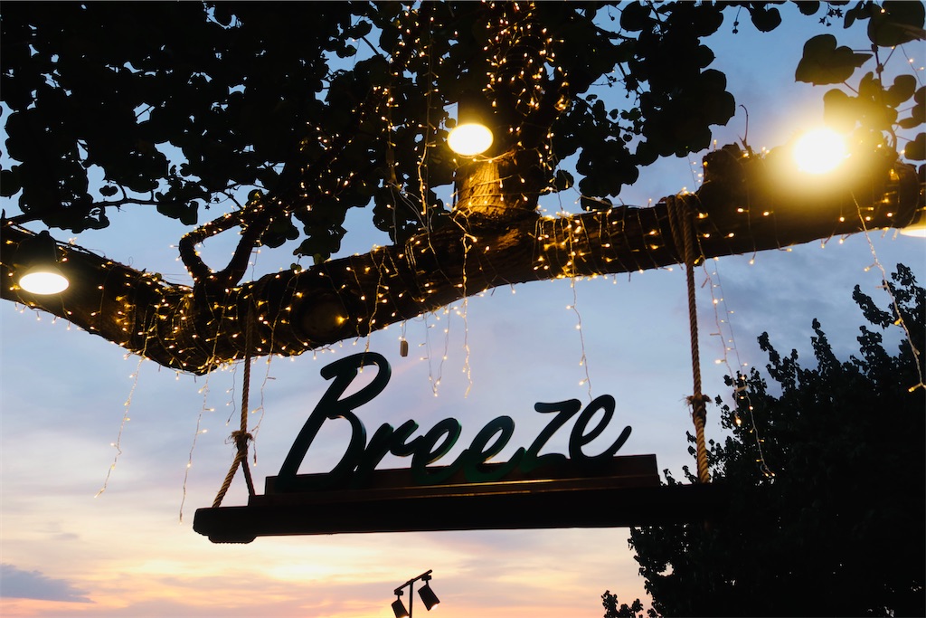 f:id:akoizuminobaka:20221220194543j:image