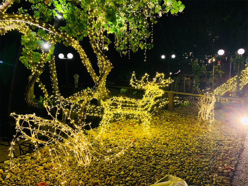 f:id:akoizuminobaka:20221220195855j:image