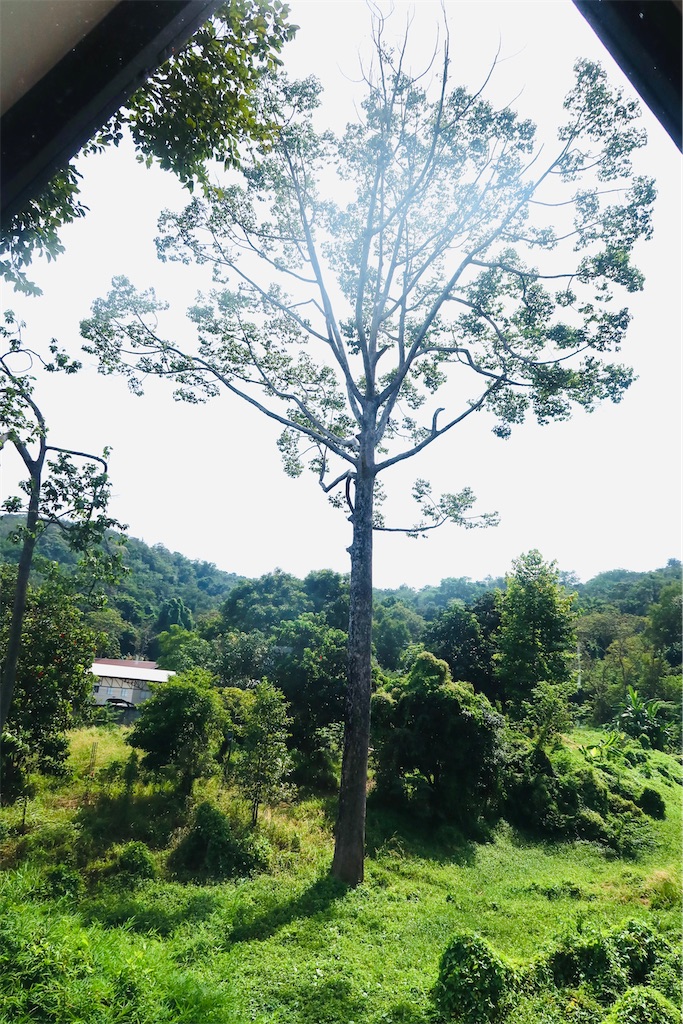 f:id:akoizuminobaka:20221220203801j:image