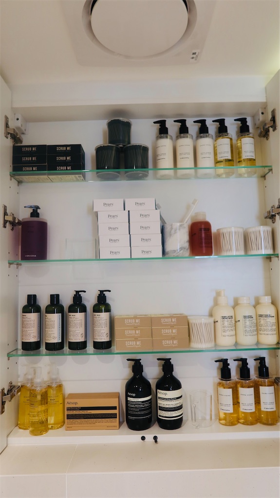 f:id:akoizuminobaka:20230330044208j:image