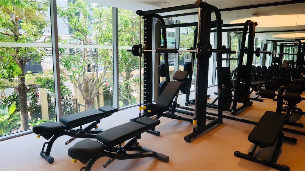 f:id:akoizuminobaka:20230330044516j:image