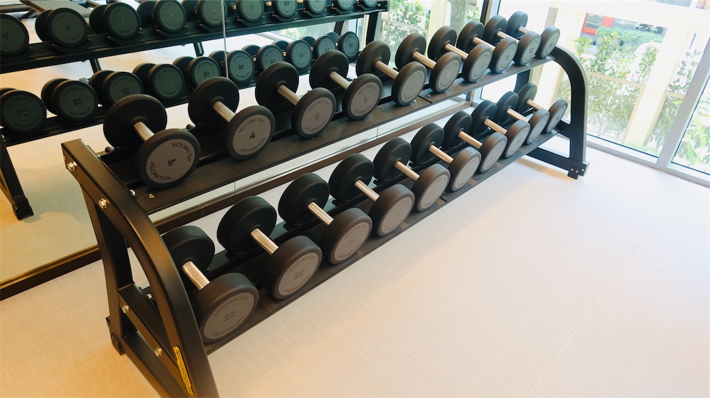 f:id:akoizuminobaka:20230330044519j:image