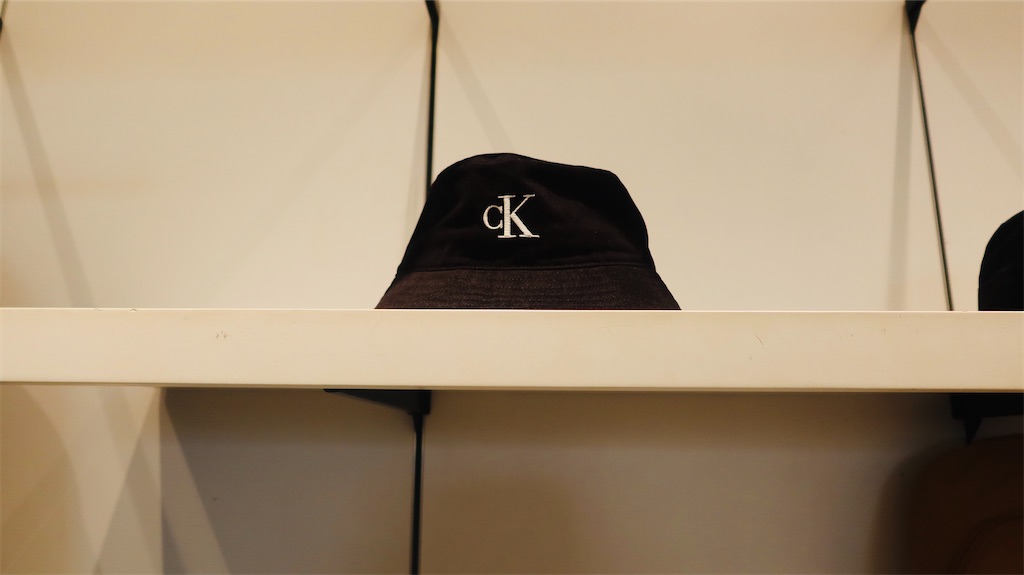 f:id:akoizuminobaka:20230718031539j:image