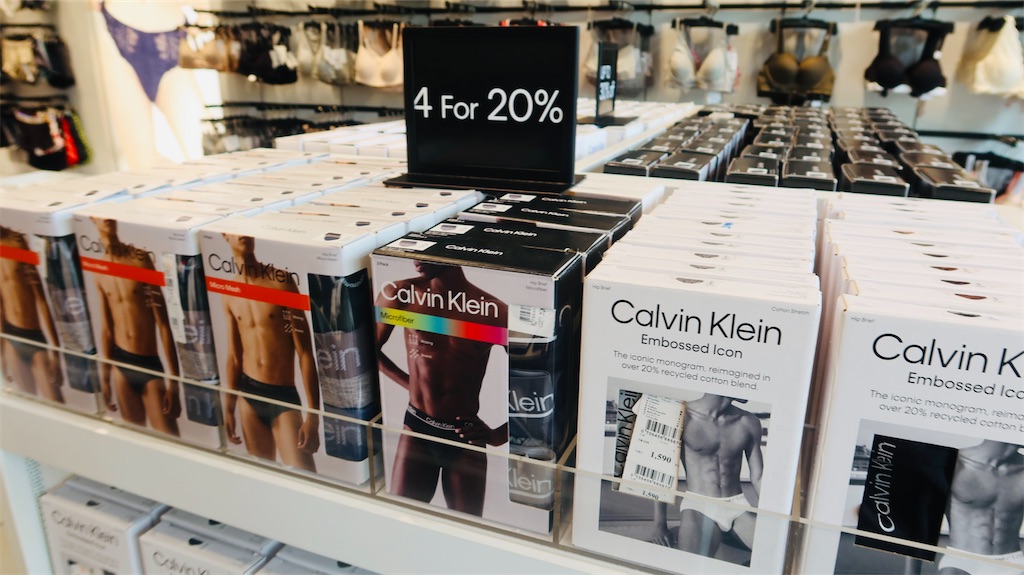 f:id:akoizuminobaka:20230718031545j:image