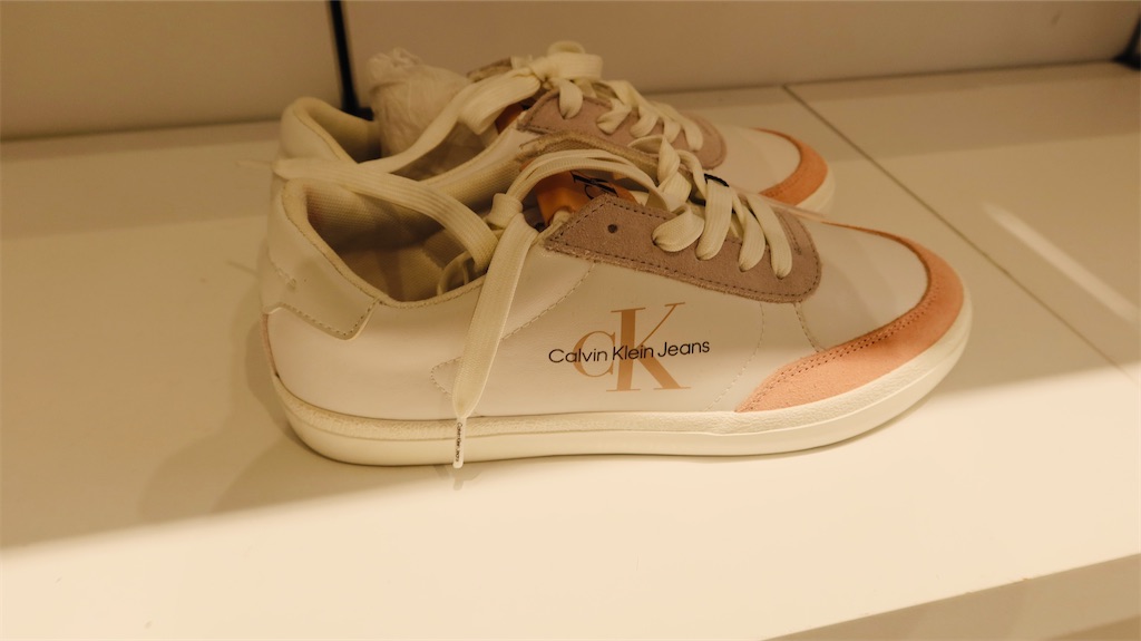 f:id:akoizuminobaka:20230718031548j:image