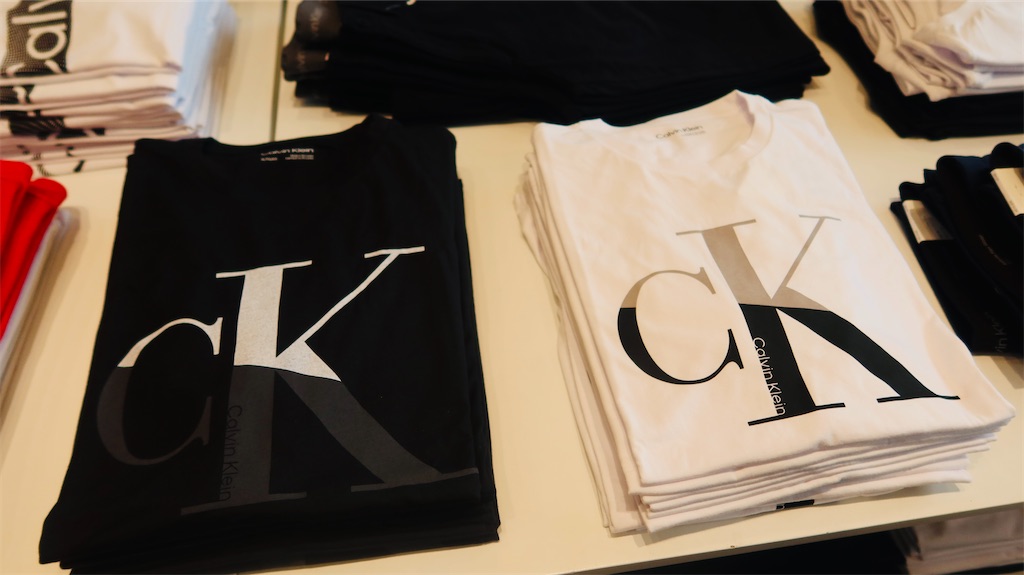 f:id:akoizuminobaka:20230718031554j:image