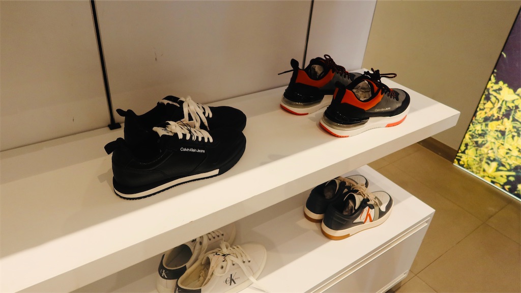 f:id:akoizuminobaka:20230718031557j:image