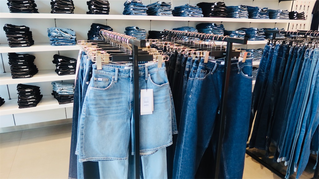 f:id:akoizuminobaka:20230718031606j:image