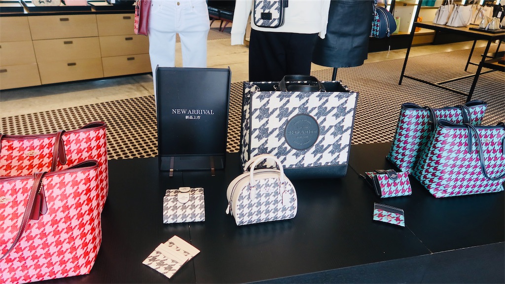 f:id:akoizuminobaka:20230718031916j:image