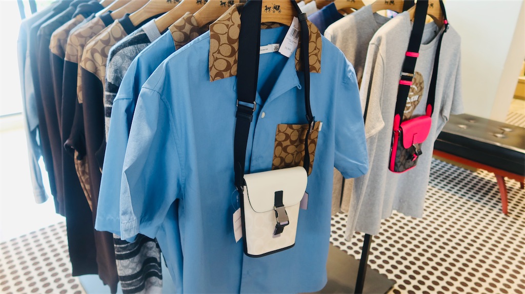 f:id:akoizuminobaka:20230718031928j:image