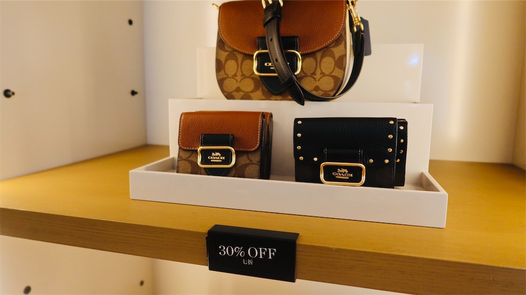 f:id:akoizuminobaka:20230718032309j:image