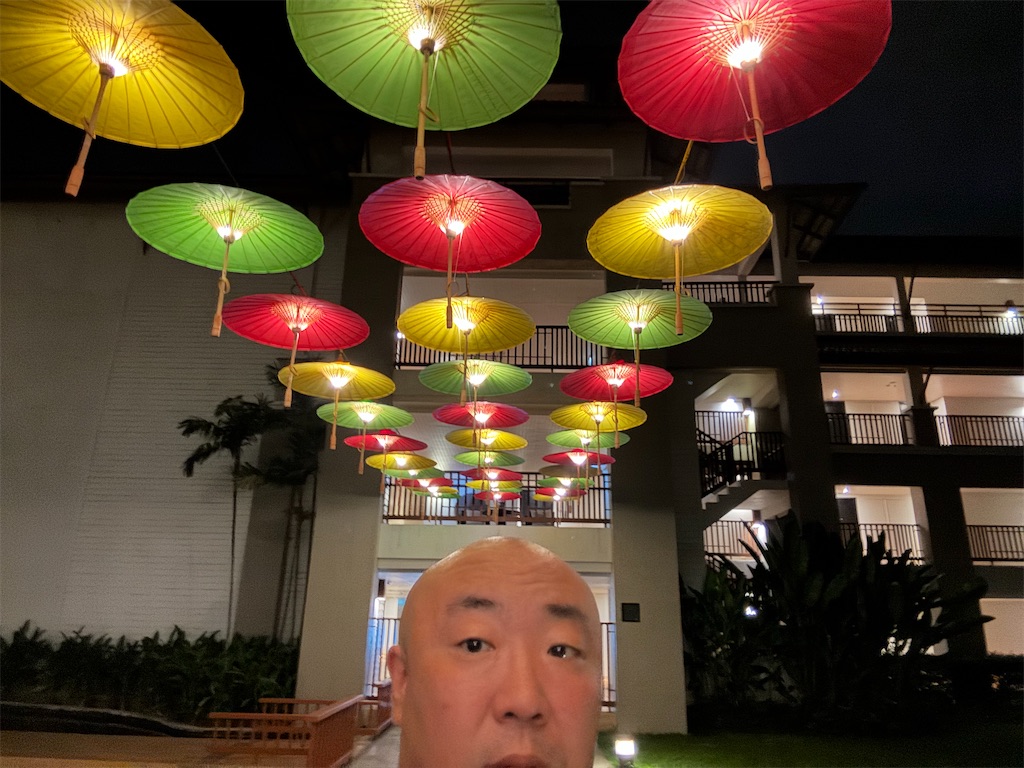 f:id:akoizuminobaka:20241123220436j:image