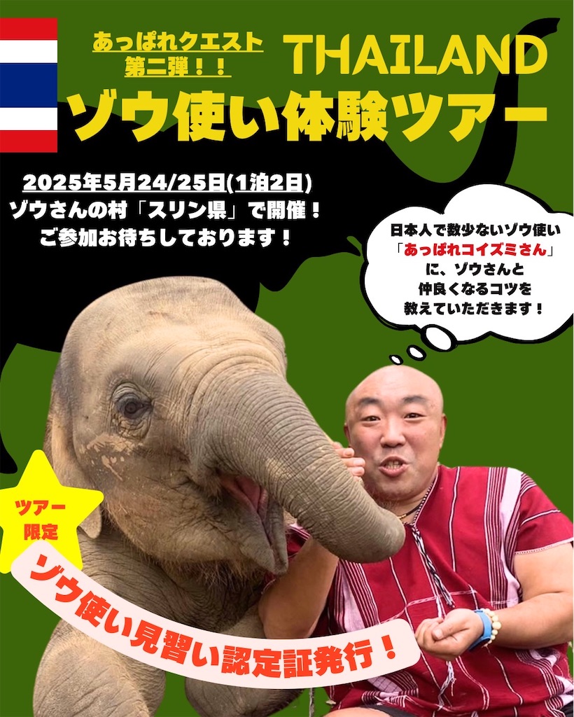 f:id:akoizuminobaka:20250404160745j:image