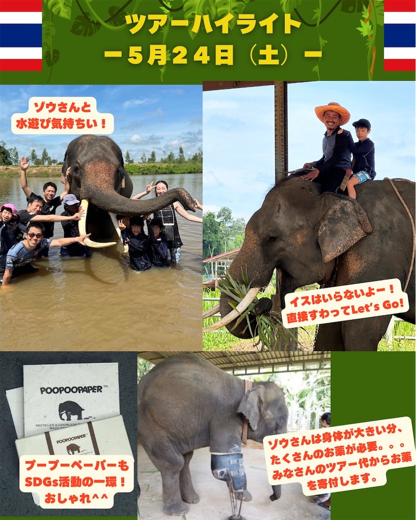 f:id:akoizuminobaka:20250404160849j:image