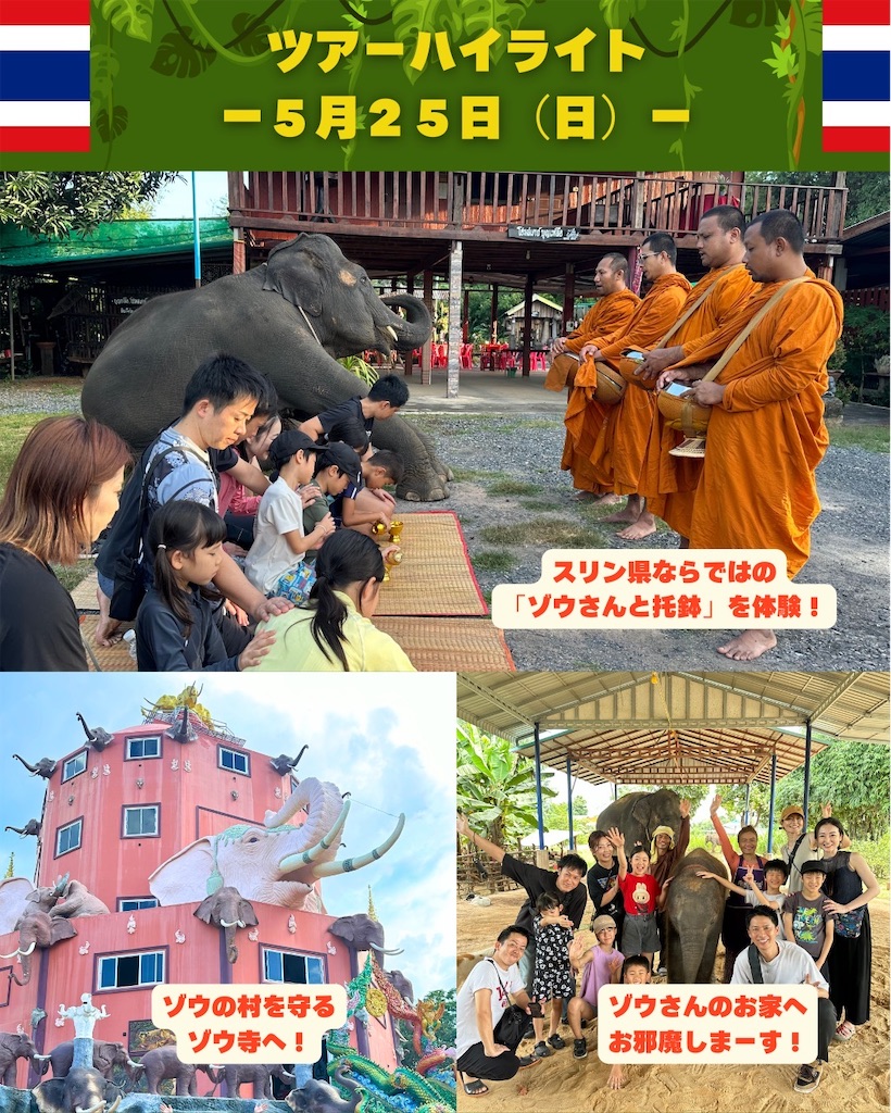 f:id:akoizuminobaka:20250404160902j:image