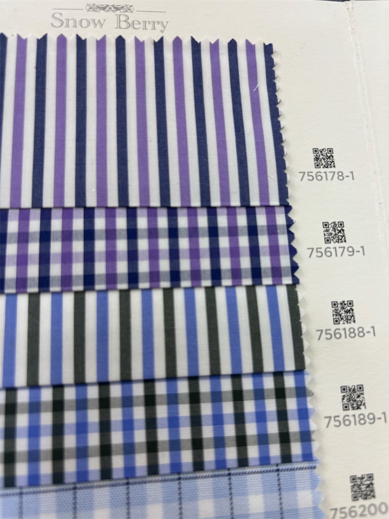 f:id:akoizuminobaka:20250607032814j:image
