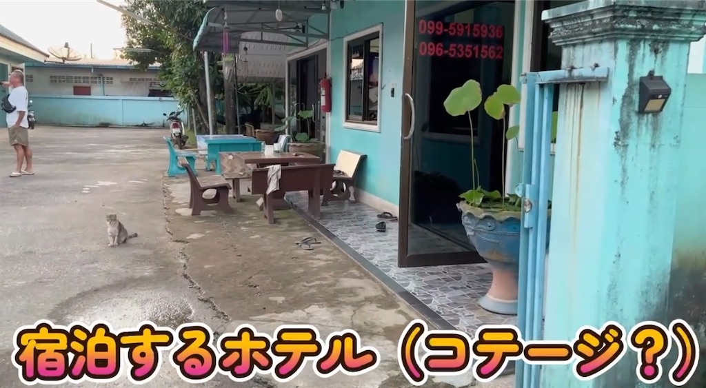 f:id:akoizuminobaka:20250619025547j:image