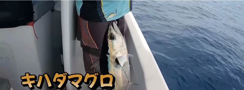 f:id:akoizuminobaka:20250619054030j:image