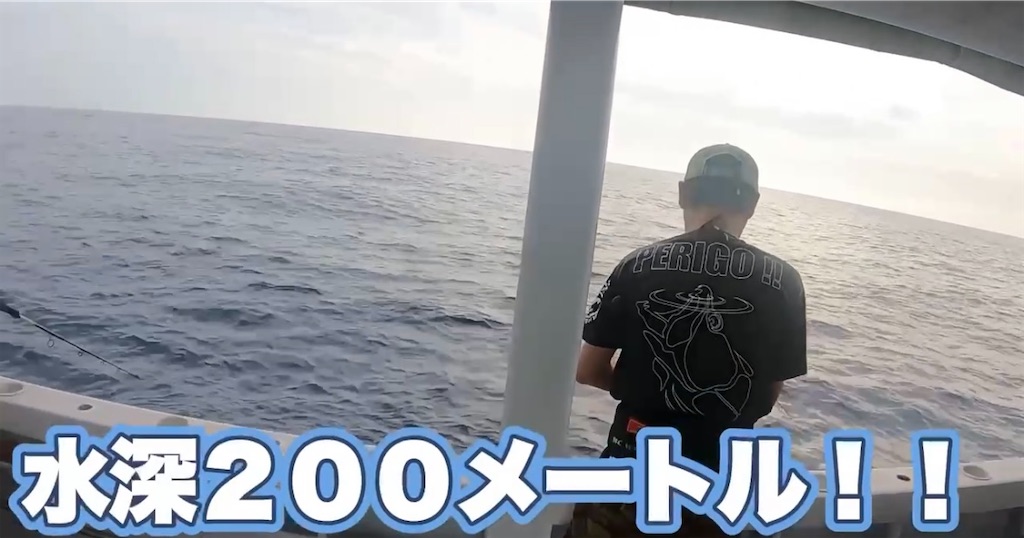 f:id:akoizuminobaka:20250619055149j:image