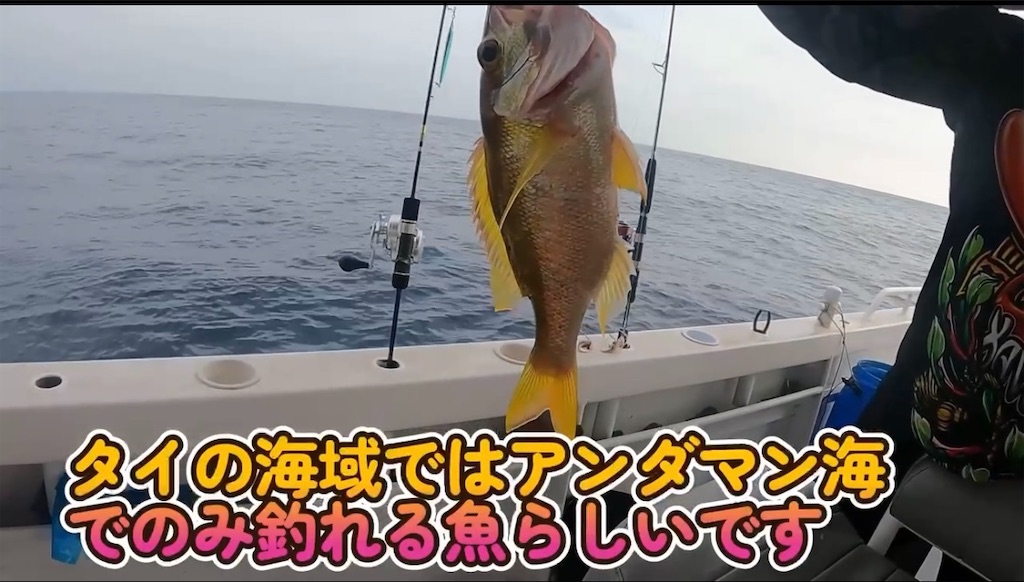 f:id:akoizuminobaka:20250619055251j:image