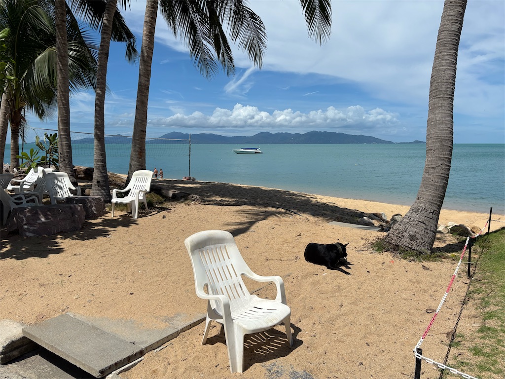 f:id:akoizuminobaka:20250929025707j:image