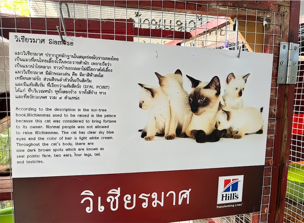 f:id:akoizuminobaka:20251124153033j:image